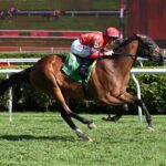Twenty Six Black, horse, War Dancer, Prioress Stakes, domingo, 31 de agosto de 2025, Saratoga. Foto: Coglaniese Photo & Susie Raisher