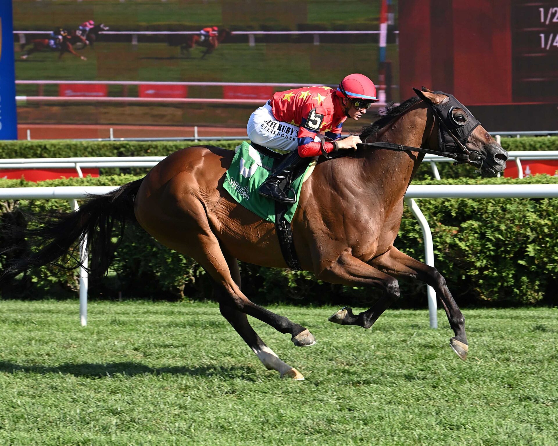 Twenty Six Black, horse, War Dancer, Prioress Stakes, domingo, 31 de agosto de 2025, Saratoga. Foto: Coglaniese Photo & Susie Raisher