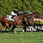 Bottas, horse, Vekoma, Pilgrim Stakes, viernes, 3 de octubre de 2025, Belmont At The Big A. Foto: Coglaniese Photo & Susie Raisher