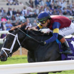 Cy Fair, Horses, Not This Time, Breeders Cup Juveline Turf Sprint, viernes, 31 de octubre de 2025, Del Mar Racing. Foto: Sportswire