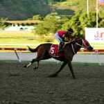 Ekati King, horse, Girvin, Clásico Virgilio Decán, domingo, 12 de octubre de 2025, La Rinconada. Foto: José Antonio Aray