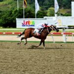 Mi Querida Emma, horse, Yesby Jimminy, Clásico Ezequiel Zamora, domingo,12 de octubre de 2025, La Rinconada. Foto: José Antonio Aray
