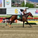 Princess Warrior, horse, Haras Los Samanes, Clásico Edgar Ganteaume, domingo, 19 de octubre de 2025, La Rinconada. Foto: José Antonio Aray