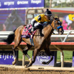 Paradise Lake, Horses, Repole Stables, Robert J. Frankel Stakes, jueves, 8 de diciembre de 2026, Santa Anita Park. Foto: Benoit Photo