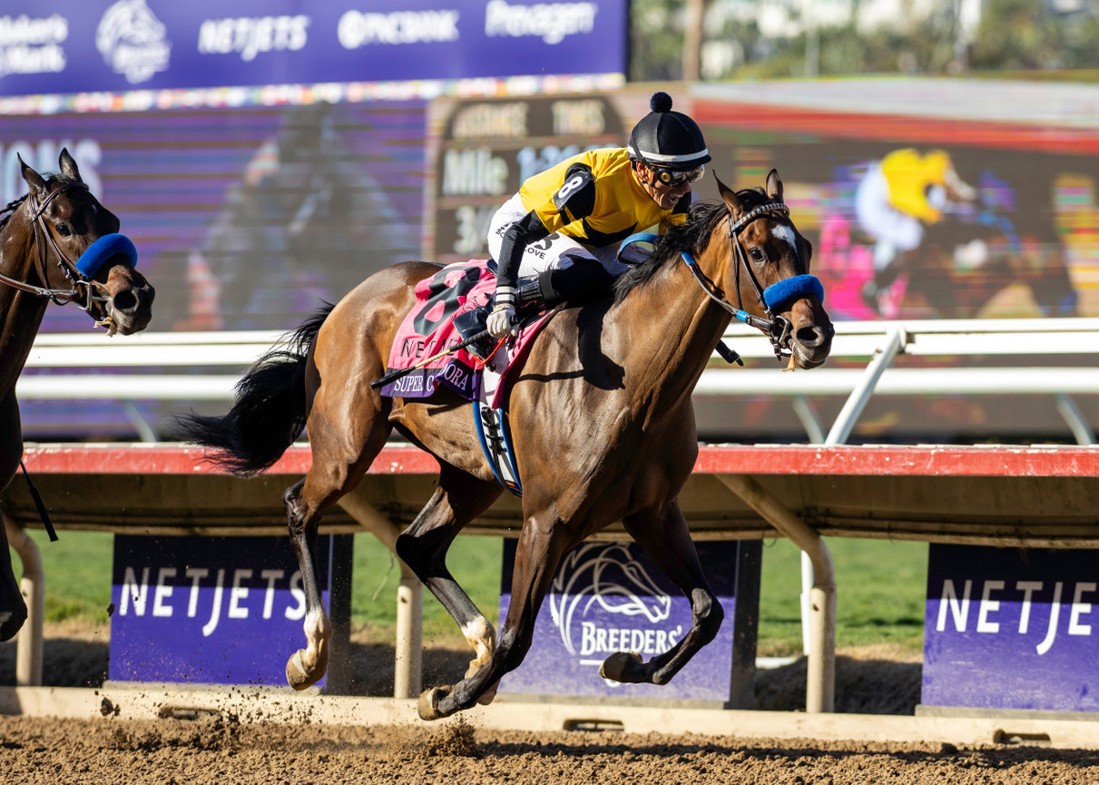 Paradise Lake, Horses, Repole Stables, Robert J. Frankel Stakes, jueves, 8 de diciembre de 2026, Santa Anita Park. Foto: Benoit Photo