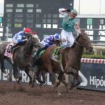 Apolo Rey, horses, Haras Don Alberto, Clásico St. Leger, sábado, 6 de diciembre de 2025, Hipódromo Chile. Foto: Jaime Cortés