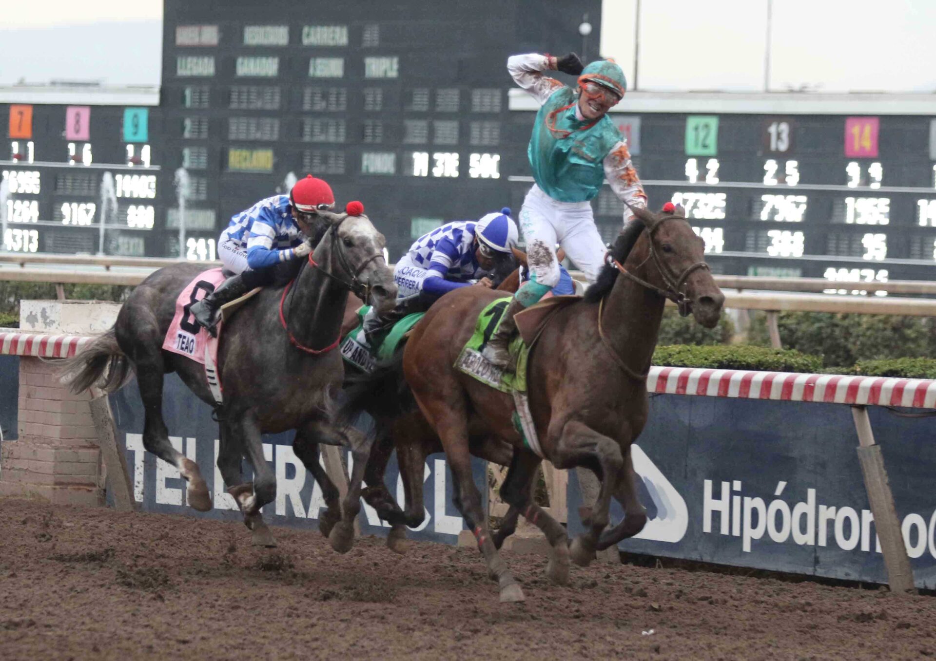 Apolo Rey, horses, Haras Don Alberto, Clásico St. Leger, sábado, 6 de diciembre de 2025, Hipódromo Chile. Foto: Jaime Cortés