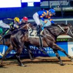 Chip Honcho, horses, Leland Ackerley Racing, Gun Runner Stakes, sábado, 20 de diciembre de 2025, Fair Grounds. Foto: Hodges Photography