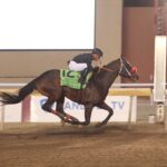 Express Kid, horse, Bodexpress, Springboard Mile Stakes, sábado, 20 de diciembre de 2025, Remington Park. Foto: Dustin Orona