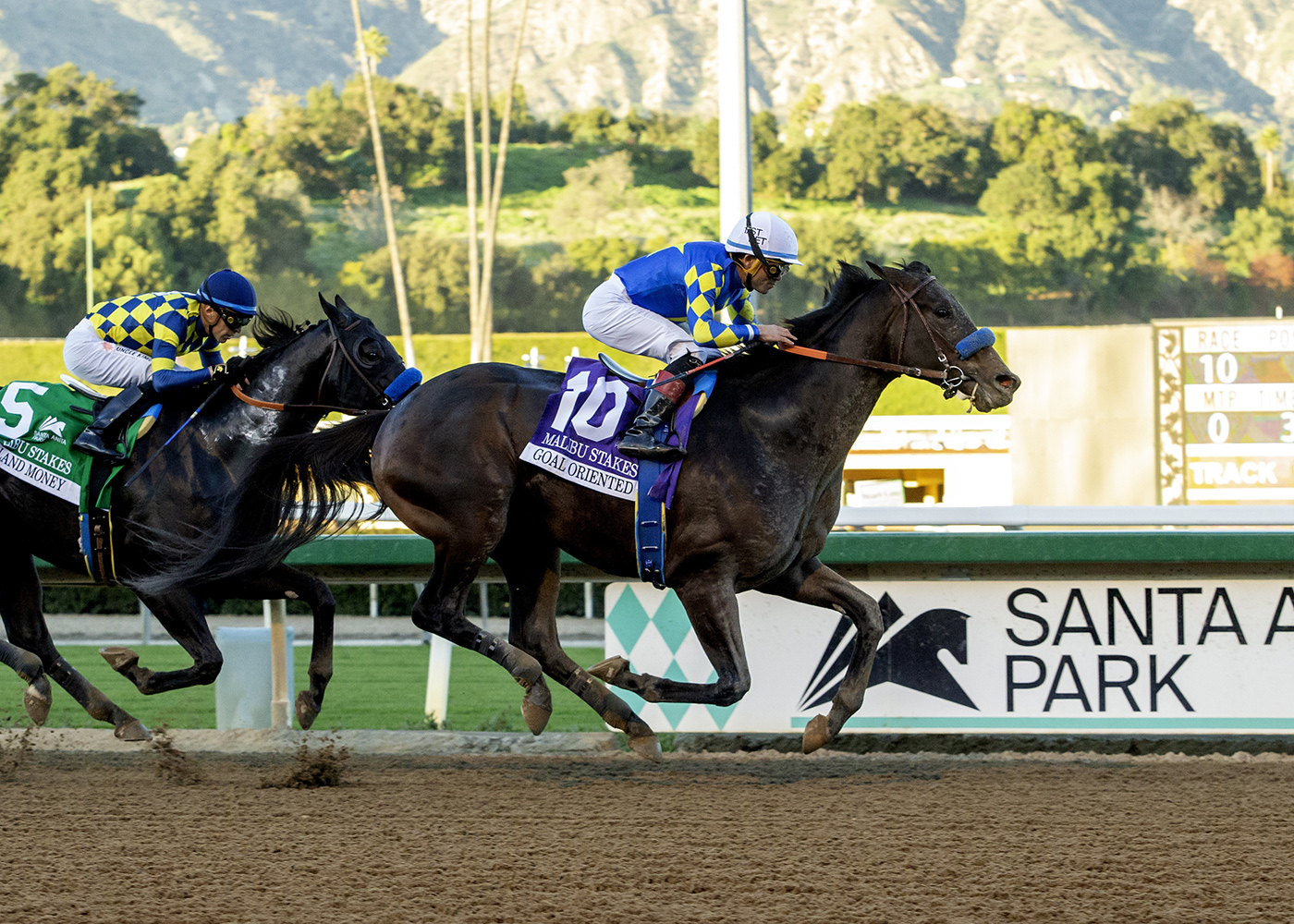 Goal Oriented, horse, Not This Time, Malibú Stakes, domingo, 28 de diciembre de 2025, Santa Anita Park. Foto: Benoit Photo