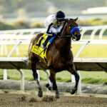 Hope Road, horse, Cicero Farms, Bayakoa Stakes, domingo, 30 de noviembre de 2025, Del Mar. Foto: Benoit Photo
