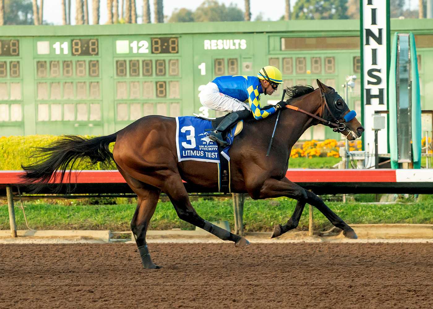 Litmus Test, Horses, Nyquist, Los Alamitos Futurity, sábado, 13 de diciembre de 2025, Hipódromo Los Alamitos. Foto: Benoit Photo