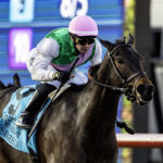 Segesta, Horses, Ghostzapper, Matriarch Stakes, domingo, 30 de noviembre de 2025, Del Mar. Foto: Benoit Photo