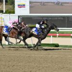 Star White, horse, Imaginay Sailor, Clásico Cañonero, domingo, 14 de diciembre de 2025, La Rinconada. Foto: José Antonio Aray