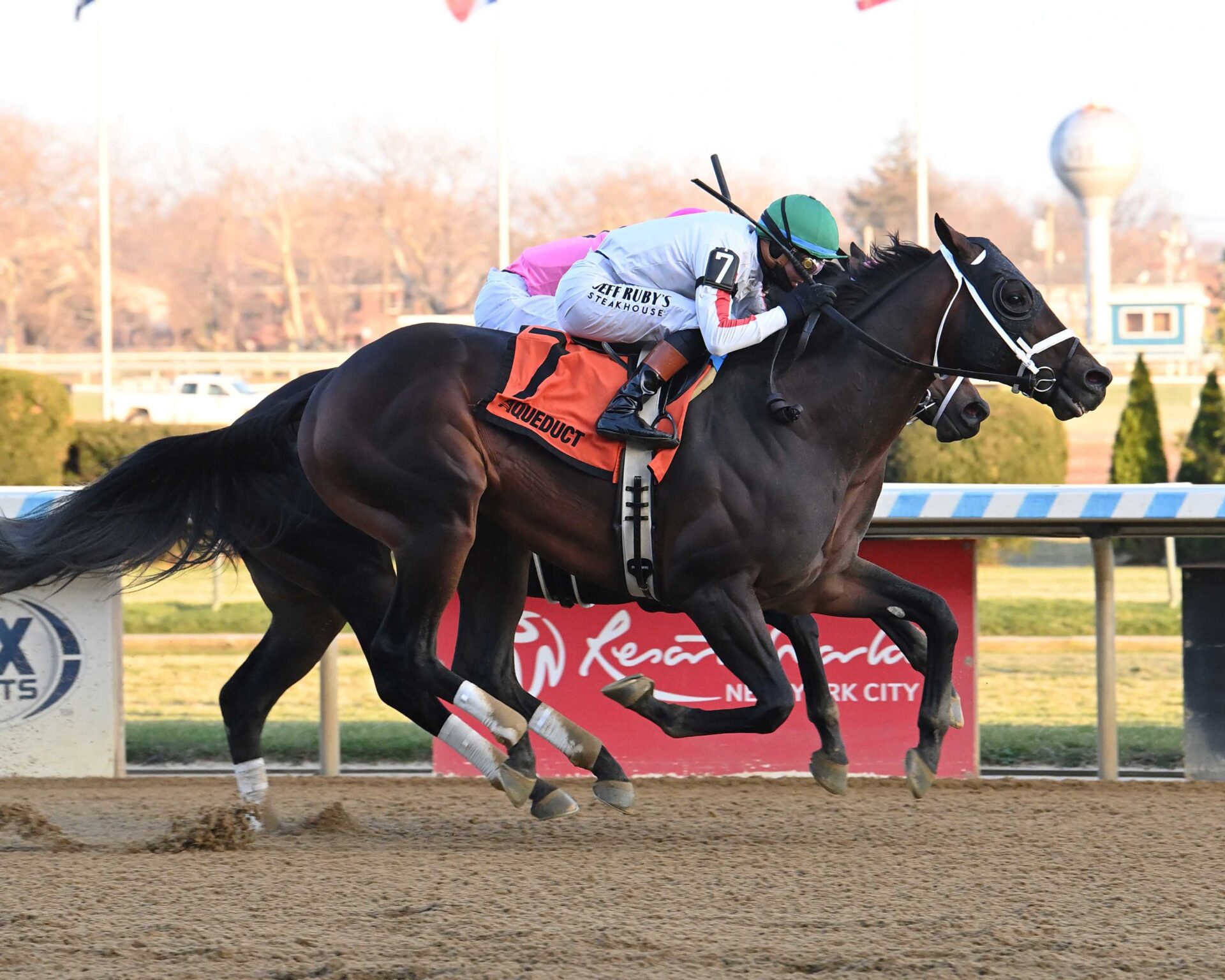 Bishops Bay, horse, Uncle Mo, Cigar Mile Stakes, sábado, 6 de diciembre de 2025, Aqueduct. Foto: Coglaniese Photo & Susie Raisher
