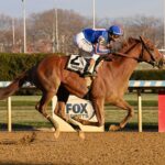 Paladín, horse, Gun Runner, Remsen Stakes, sábado, 6 de diciembre de 2025, Aqueduct. Foto: Coglaniese Photo & Susie Raisher