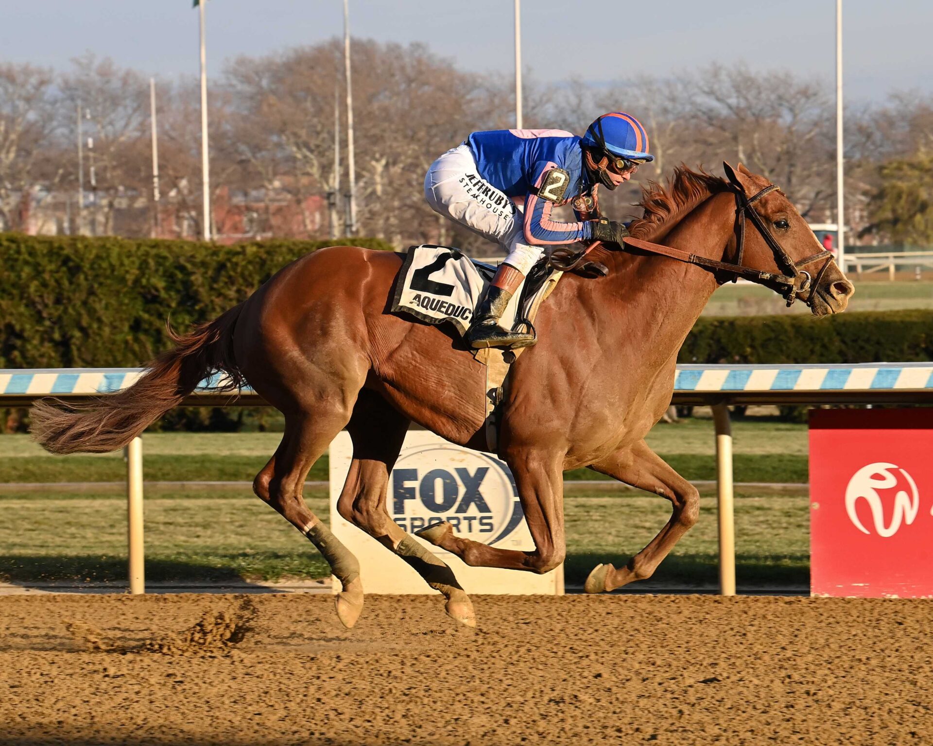 Paladín, horse, Gun Runner, Remsen Stakes, sábado, 6 de diciembre de 2025, Aqueduct. Foto: Coglaniese Photo & Susie Raisher