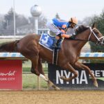 Zany, horse, American Pharoah, Demoiselle Stakes, sábado, 6 de diciembre de 2025, Aqueduct. Foto: Coglaniese Photo & Susie Raisher