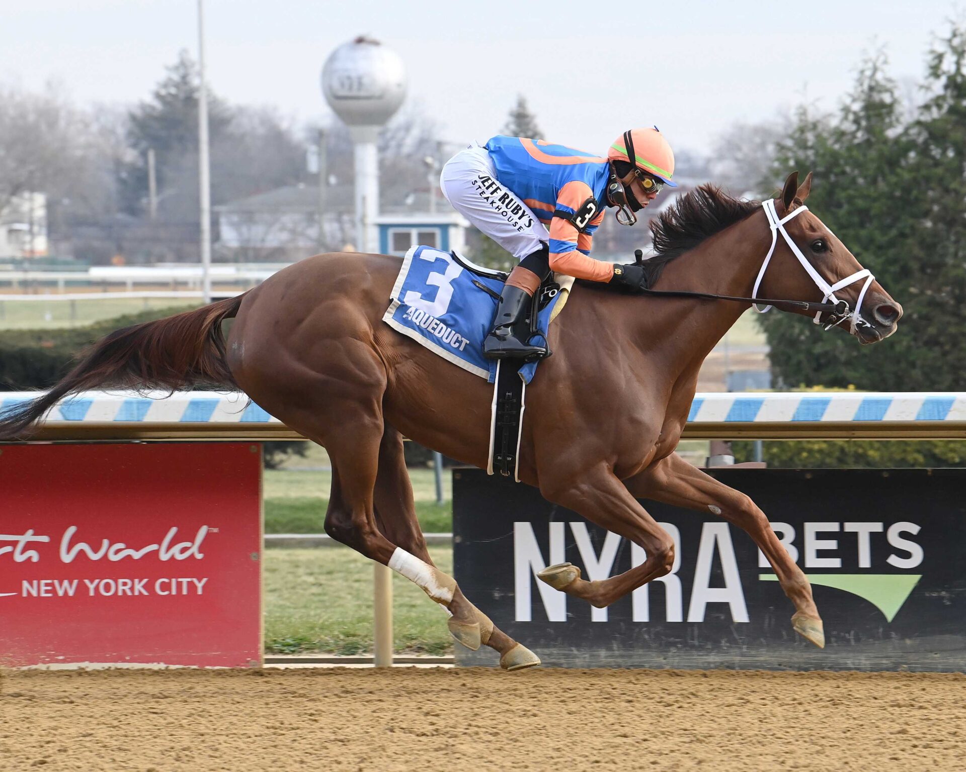 Zany, horse, American Pharoah, Demoiselle Stakes, sábado, 6 de diciembre de 2025, Aqueduct. Foto: Coglaniese Photo & Susie Raisher