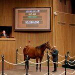 Yegua preñada, 465, Tiffany Case, sesión 1, Keeneland Sales todas las edades enero, lunes, 12 de enero de 2026, Keeneland. Foto: Keeneland