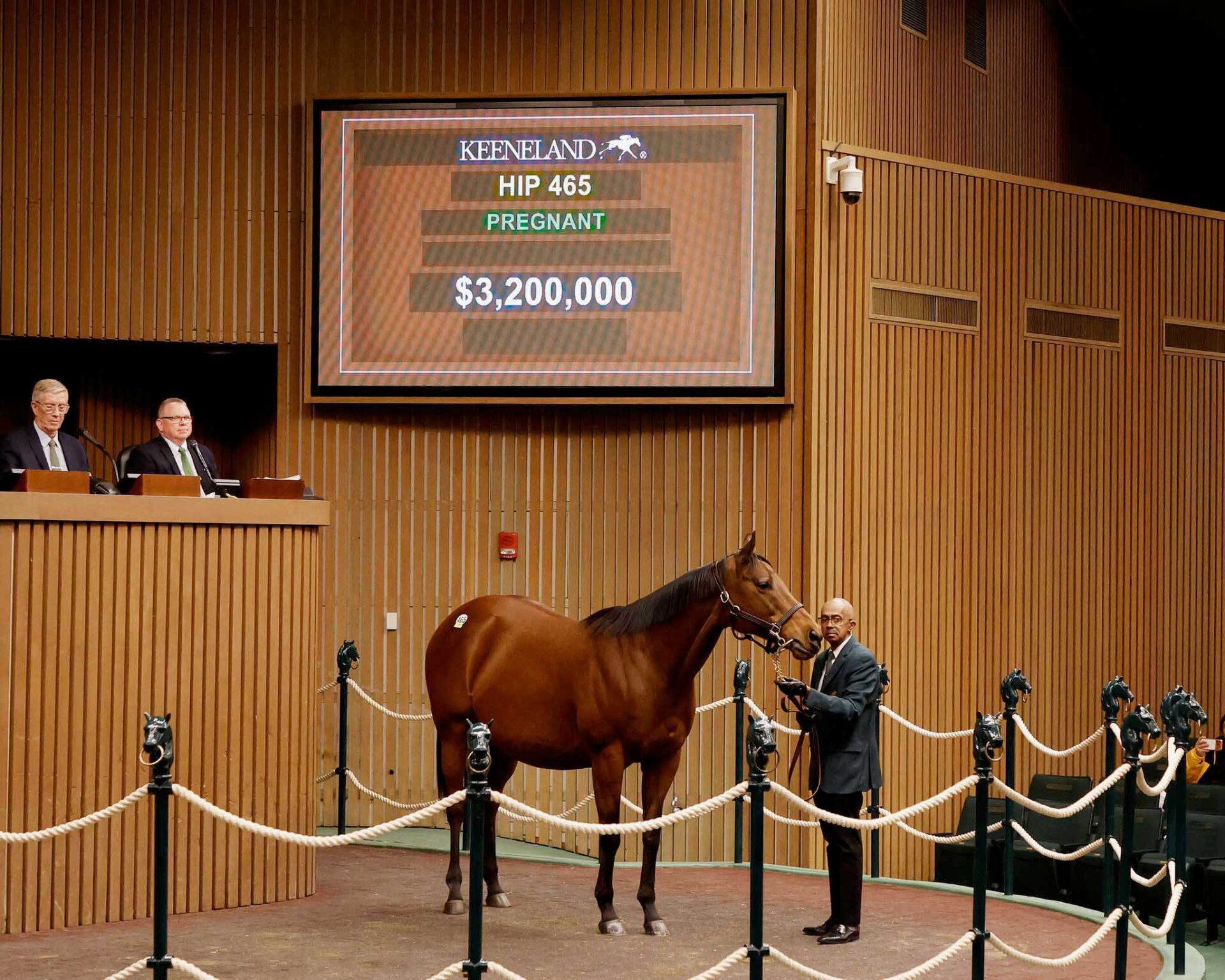 Yegua preñada, 465, Tiffany Case, sesión 1, Keeneland Sales todas las edades enero, lunes, 12 de enero de 2026, Keeneland. Foto: Keeneland