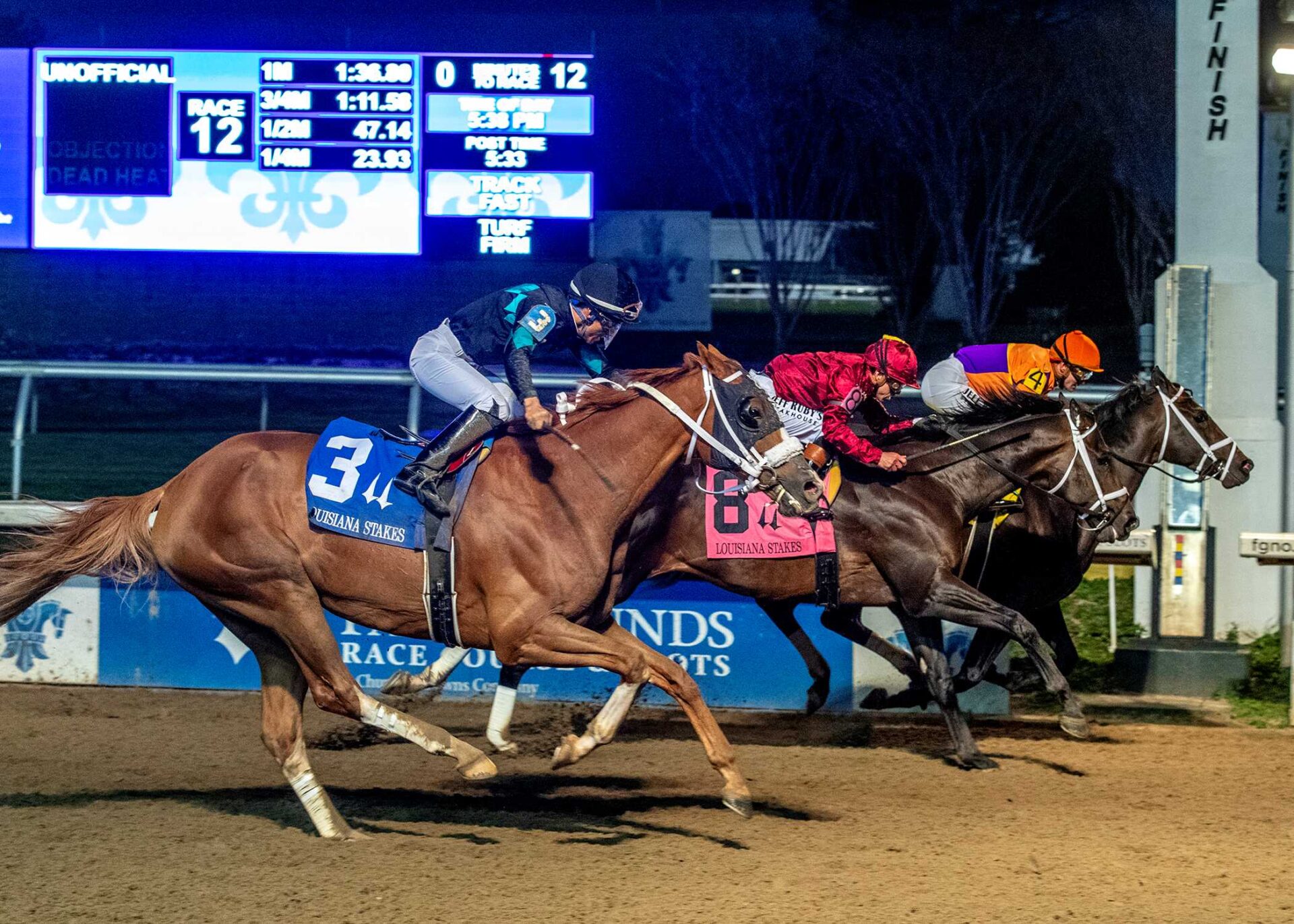 Accelerize, horse, Omaha Beach, Louisiana Stakes, sábado, 17 de enero de 2026, Fair Grounds. Foto: Hodges Photography
