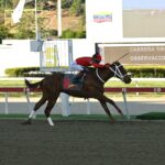 Banderas, horse, Haras Luisiana, Clásico Francisco De Miranda, domingo, 18 de enero de 2026, La Rinconada. Foto: José Antonio Aray