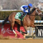 Dazzling Dame, horse, Girvin, Busanda Stakes, sábado, 3 de enero de 2026, Aqueduc. Foto: Coglaniese Photo & Susie Raisher