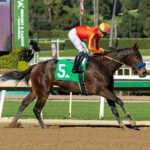 Explora, horses, Blame, San Vicente Stakes, sábado, 10 de enero de 2026, Santa Anita Park. Foto: Benoit Photo