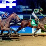 Golden Tempo, horse, Curlin, Lecomte Stakes, sábado, 17 de enero de 2026, Fair Grounds. Foto: Hodges Photography