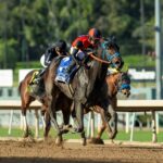 Margarita Girl, horses, Twirling Candy, Las Flores Stakes, domingo, 11 de enero de 2026, Santa Anita Park. Foto: Benoit Photo