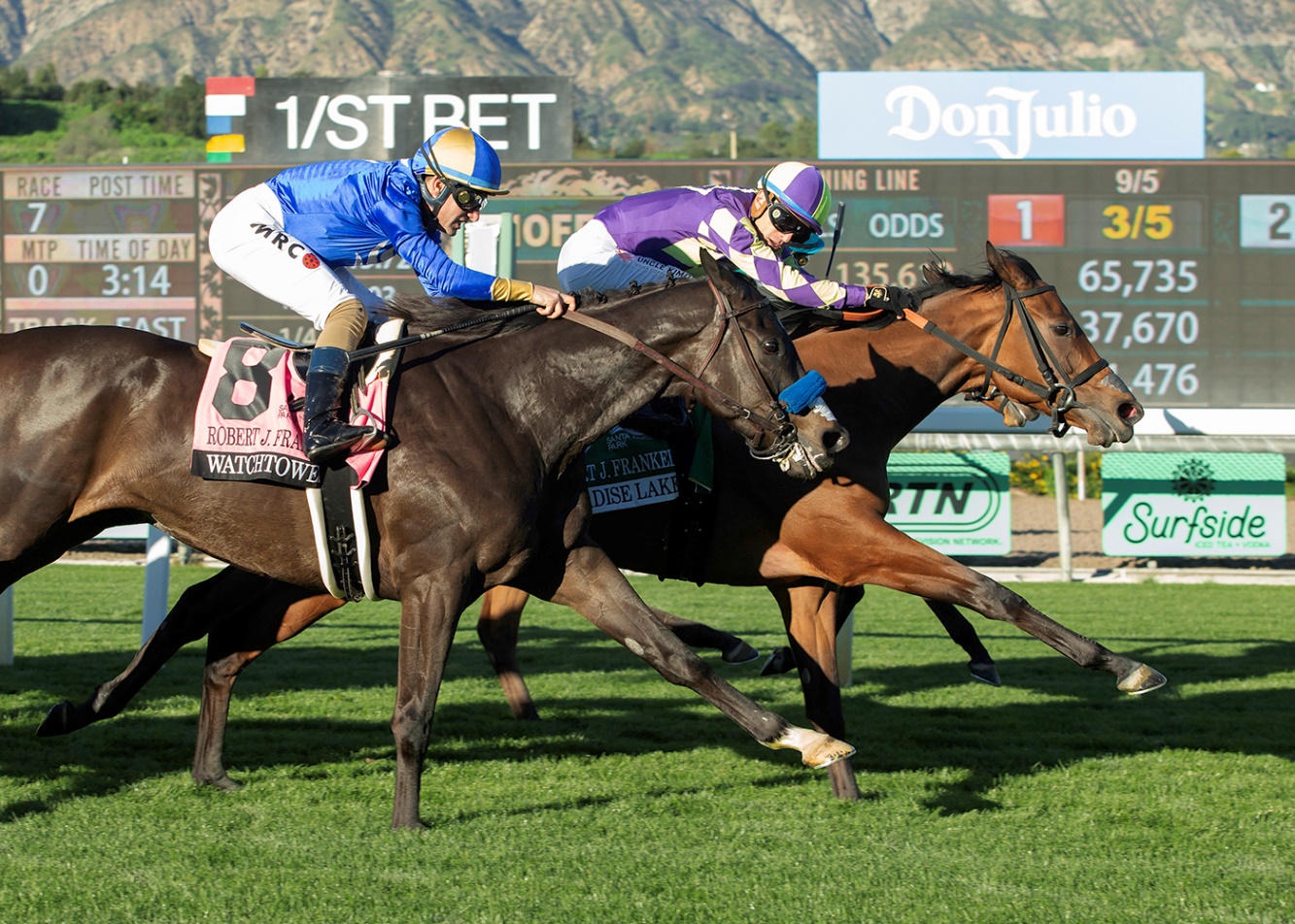 Paradise Lake, Horses, Repole Stables, Robert J. Frankel Stakes, jueves, 8 de diciembre de 2026, Santa Anita Park. Foto: Benoit Photo