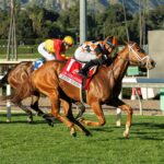 Queen Máxima, Horses, Bucchero, Las Ciénegas Stakes, domingo, 11 de enero de 2026, Santa Anita Park. Foto: Benoit Photo