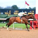 Strategic Risk, horse, John C. Oxley, Smarty Jones Stakes, sábado, 3 de enero de 2026, Oaklawn Park. Foto: Coady Media