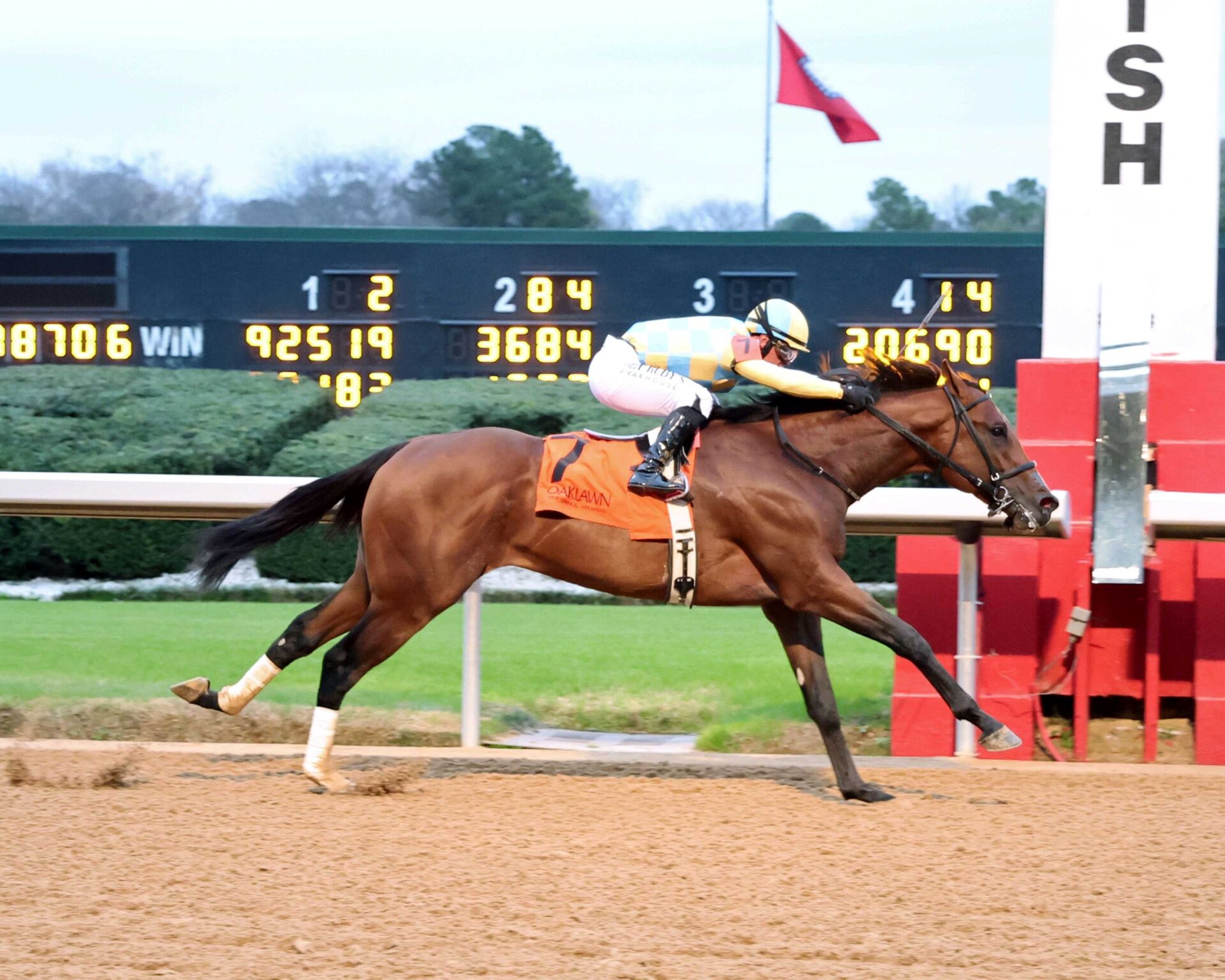 Strategic Risk, horse, John C. Oxley, Smarty Jones Stakes, sábado, 3 de enero de 2026, Oaklawn Park. Foto: Coady Media
