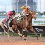 Skippylongstocking, horse, Exaggerator, Pegasus World Cup, sábado, 24 de enero de 2026, Gulfstream Park. Foto: Coglaniese Photo