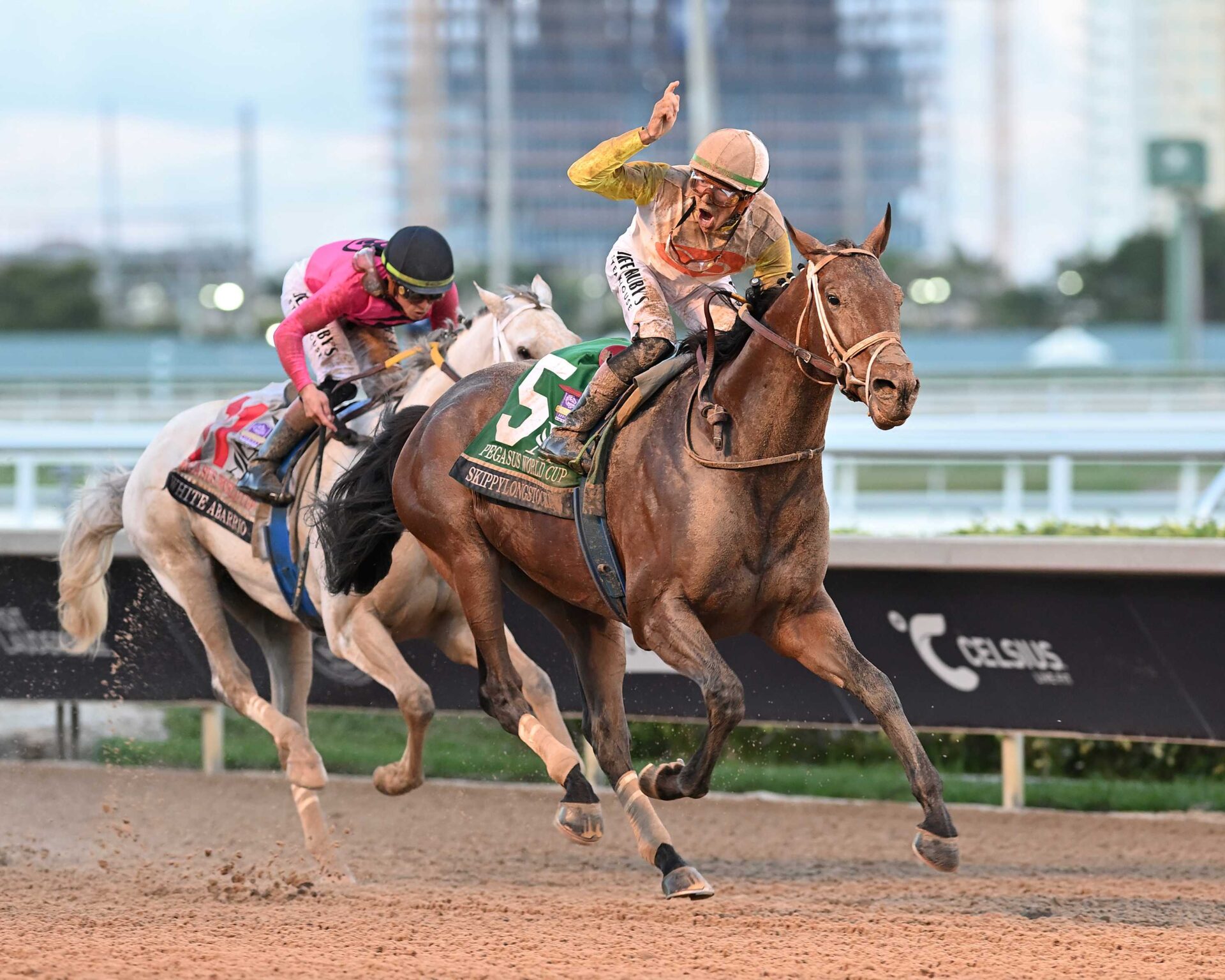 Skippylongstocking, horse, Exaggerator, Pegasus World Cup, sábado, 24 de enero de 2026, Gulfstream Park. Foto: Coglaniese Photo