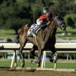 So Happy, horses, Runhappy, San Vicente Stakes, sábado, 10 de enero de 2026, Santa Anita Park. Foto: Benoit Photo