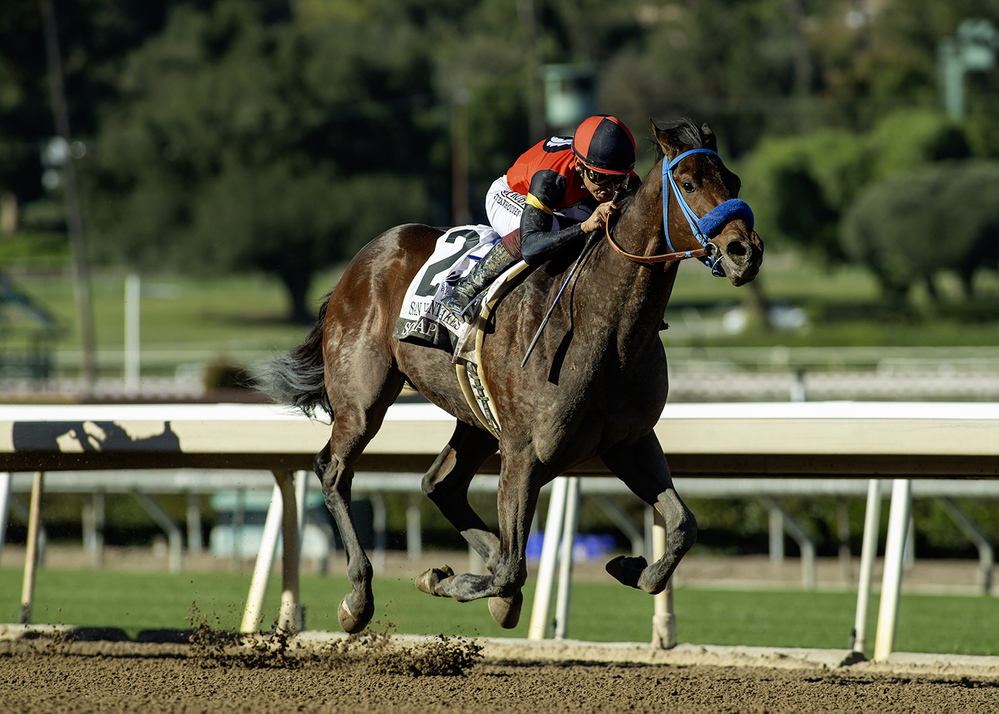 So Happy, horses, Runhappy, San Vicente Stakes, sábado, 10 de enero de 2026, Santa Anita Park. Foto: Benoit Photo