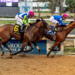 Bella Ballerina, horse, Godolphin LLC, Rachel Alexandra Stakes, sábado, 14 de febrero de 2026, Fair Grounds. Foto: Hodges Photography