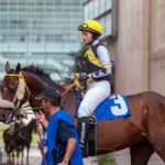 Ibrahim Gold, horses, María Fernanda Arteaga, carrera ordinaria, Hipódromo de Las Américas, sábado, sp de sp de 2025. Foto: Miguel Ángel Espinoza