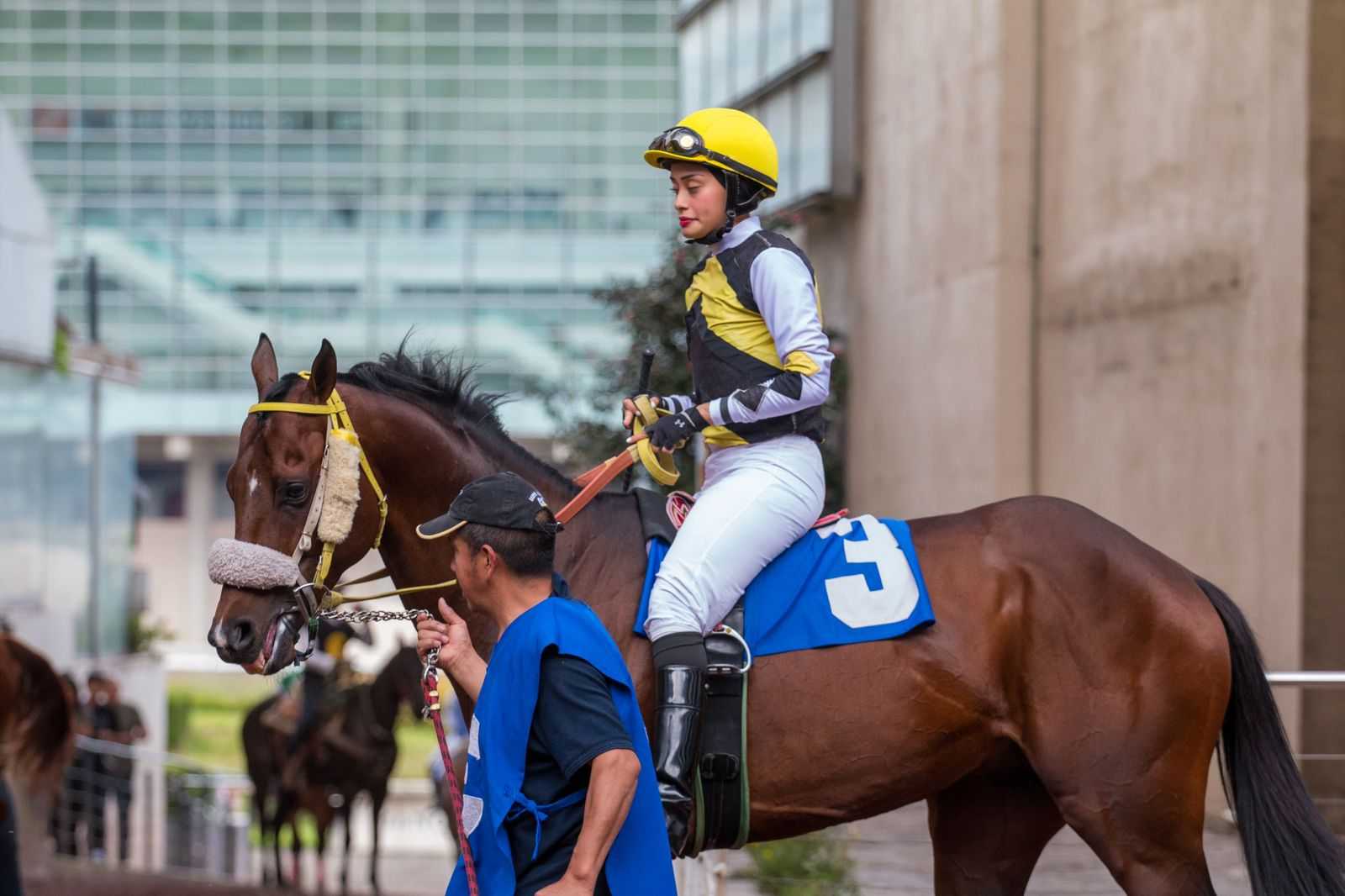 Ibrahim Gold, horses, María Fernanda Arteaga, carrera ordinaria, Hipódromo de Las Américas, sábado, sp de sp de 2025. Foto: Miguel Ángel Espinoza