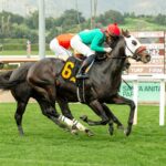 Gran Oriente, horses, Classic Empire, Allowance Optional Claiming, viernes, 23 de enero de 2026, Santa Anita Park. Foto: Benoit Photo