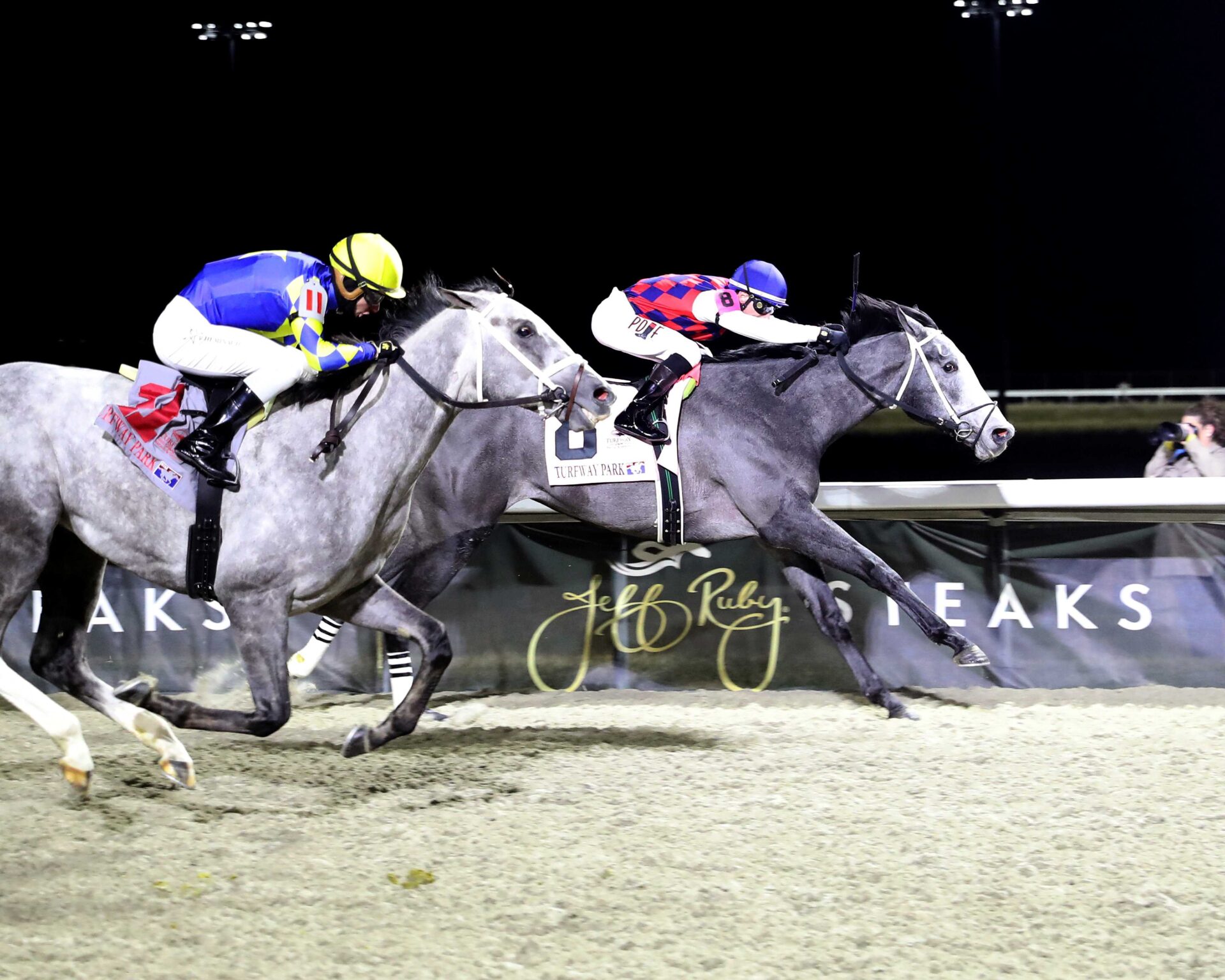 Great White, horse, Three Chimneys Farm, John Battaglia Memorial Stakes, sábado, 21 de febrero de 2026, Turfway Park. Foto: Coady Media
