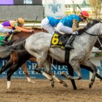 Hit Show, horse, Candy Ride, Mineshaft Stakes, sábado, 14 de febrero de 2026, Fair Grounds. Foto: Hodges Photography