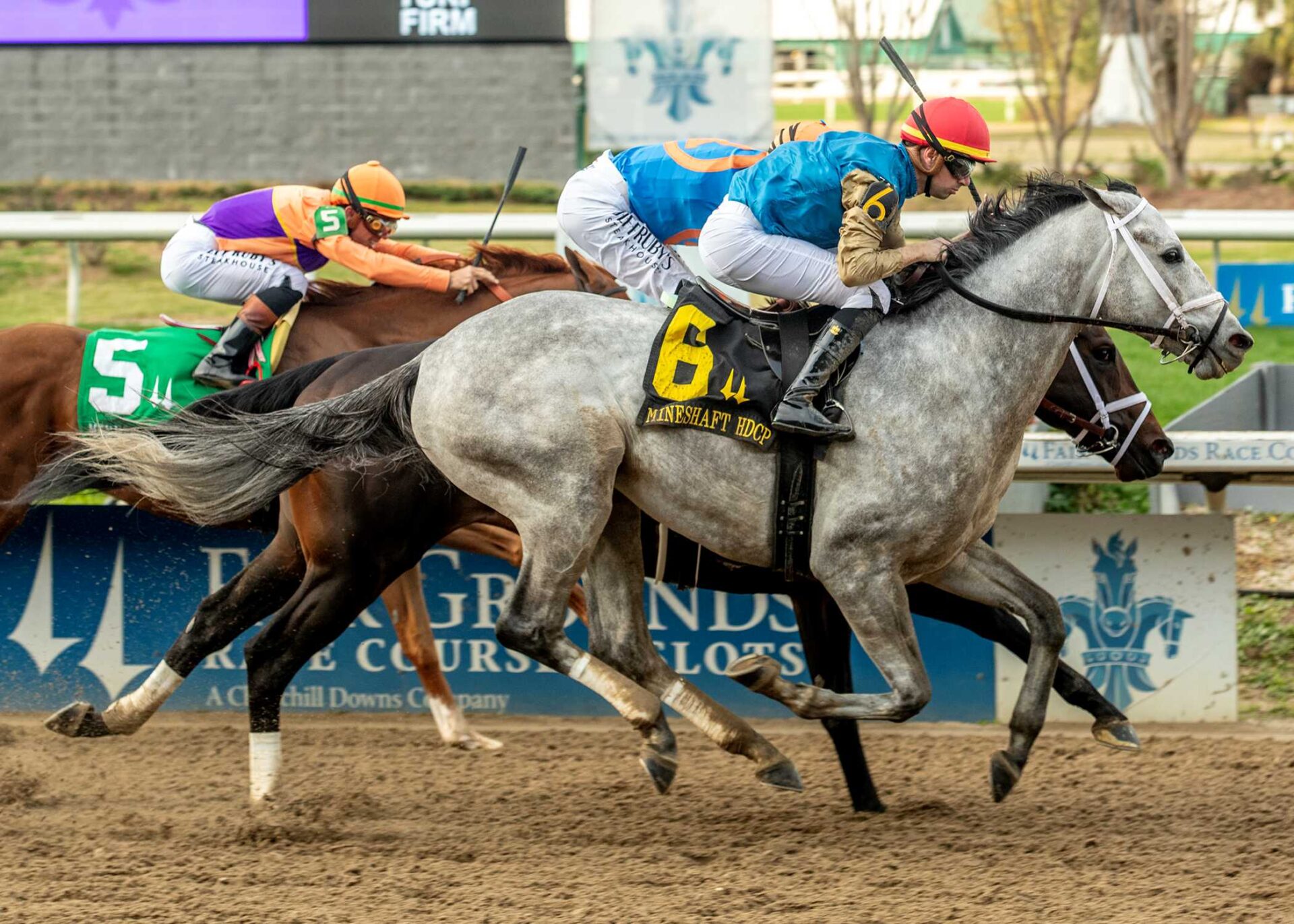 Hit Show, horse, Candy Ride, Mineshaft Stakes, sábado, 14 de febrero de 2026, Fair Grounds. Foto: Hodges Photography