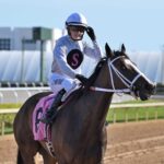 Lady River Lily, horse, Lord Nelson, jocketa Cornelia Hartsmar, jueves, 19 de febrero de 2026, Gulfstream Park. Foto: Coglaniese Photo