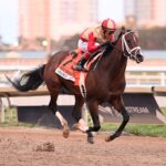 Nearly, horse, Centennial Farms, Holy Bull Stakes, sábado, 31 de enero de 2026, Gulfstream Park. Foto: Coglaniese Photo & Lauren King