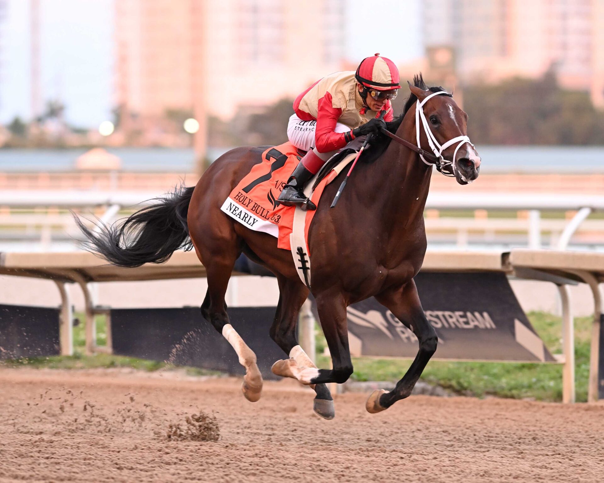 Nearly, horse, Centennial Farms, Holy Bull Stakes, sábado, 31 de enero de 2026, Gulfstream Park. Foto: Coglaniese Photo & Lauren King