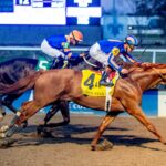 Paladín, horse, Gun Runner, Risen Star Stakes, sábado, 14 de febrero de 2026, Fair Grounds. Foto: Hodges Photography